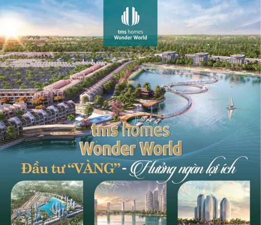 Banner dự án TMS Wonder World Vĩnh Yên, Vĩnh Phúc